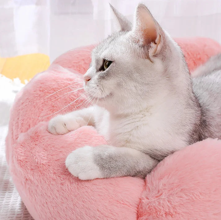 Comfortable Sleep Pet Bed Unique Flower-Shaped for Indoor and Outdoor Use Dog Mat Dog Beds for Large Dogs