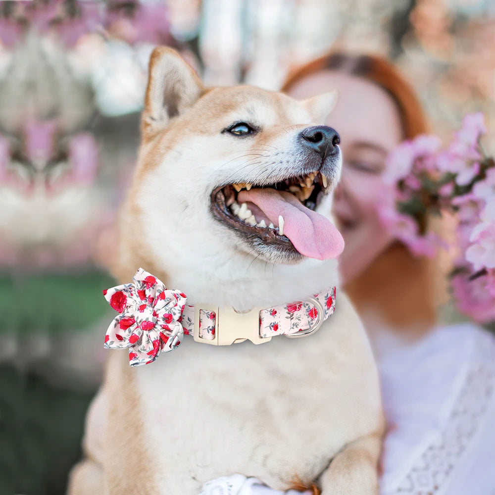 Floral Comfort Dog Collar – Adjustable with Bow & Spring for Small Dogs
