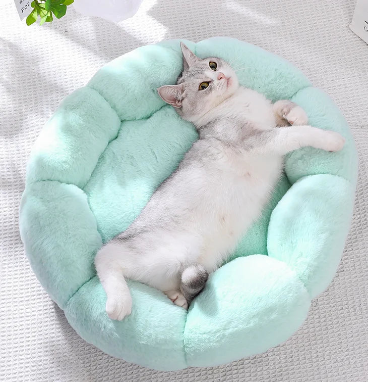 Comfortable Sleep Pet Bed Unique Flower-Shaped for Indoor and Outdoor Use Dog Mat Dog Beds for Large Dogs