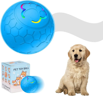 Active Roling Ball for Dogs - 2.2" Sturdy Motion Actived Interactive Dog Ball for Puppy/Small/Medium Dogs, USB Rechargeable Ball