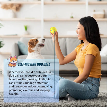 Active Roling Ball for Dogs - 2.2" Sturdy Motion Actived Interactive Dog Ball for Puppy/Small/Medium Dogs, USB Rechargeable Ball