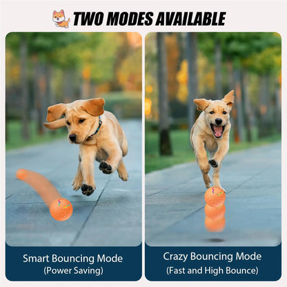Active Roling Ball for Dogs - 2.2" Sturdy Motion Actived Interactive Dog Ball for Puppy/Small/Medium Dogs, USB Rechargeable Ball