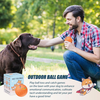 Active Roling Ball for Dogs - 2.2" Sturdy Motion Actived Interactive Dog Ball for Puppy/Small/Medium Dogs, USB Rechargeable Ball