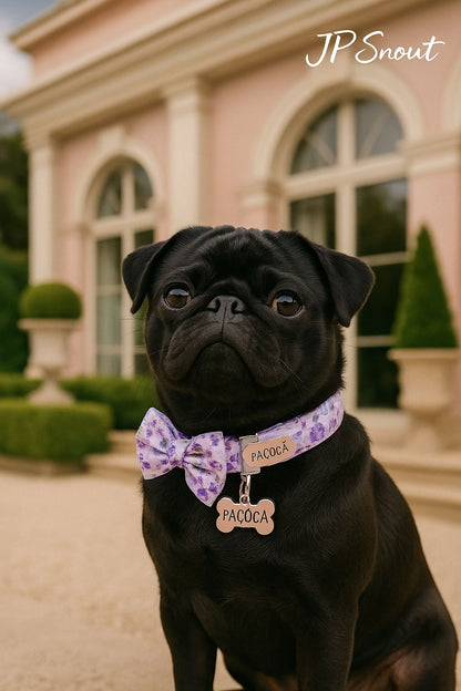 Floral Comfort Dog Collar – Adjustable with Bow & Spring for Small Dogs