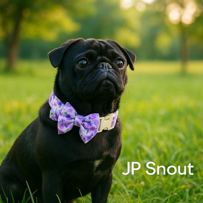 Floral Comfort Dog Collar – Adjustable with Bow & Spring for Small Dogs